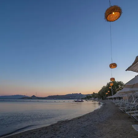 Regia Mare & Bodrum 오르타켄트