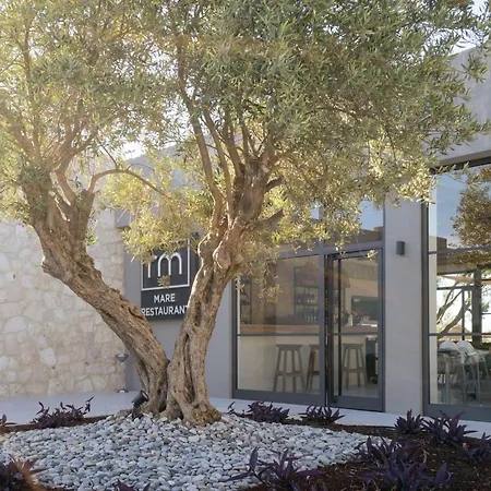 Regia Mare & Bodrum 오르타켄트