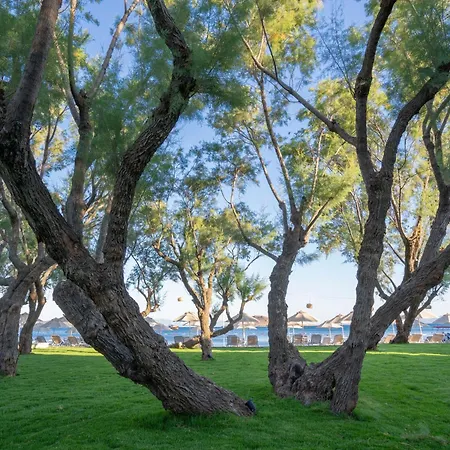 호텔 Regia Mare & Bodrum 오르타켄트