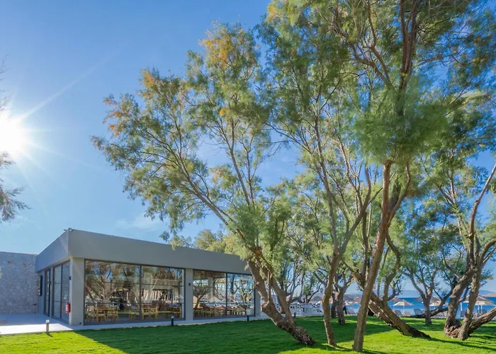 Hotel Regia Mare & Bodrum 4*