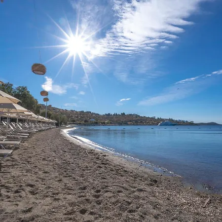 Regia Mare & Bodrum 奥塔肯特