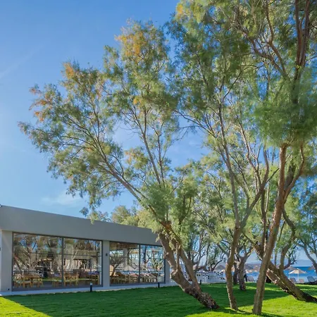 酒店 Regia Mare & Bodrum 4*