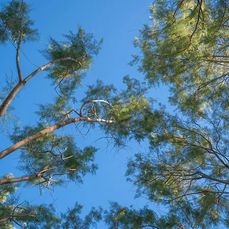 Regia Mare & Bodrum 奥塔肯特