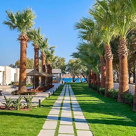 Regia Mare & Bodrum