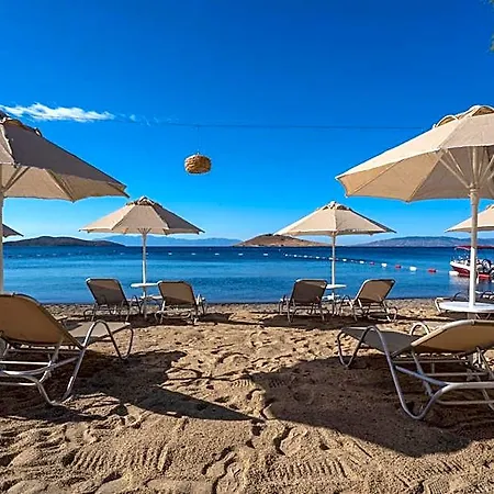 Regia Mare & Bodrum 4* 奥塔肯特