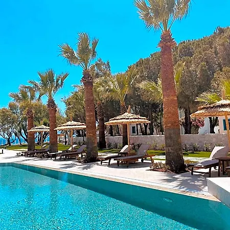 酒店 Regia Mare & Bodrum 4*