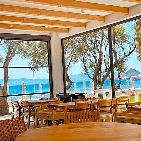 酒店 Regia Mare & Bodrum 4*