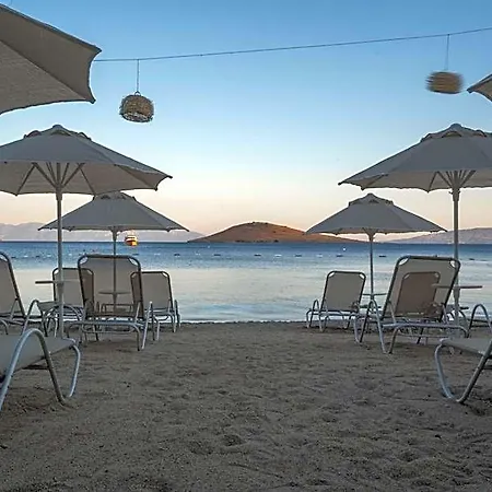 酒店 Regia Mare & Bodrum 奥塔肯特