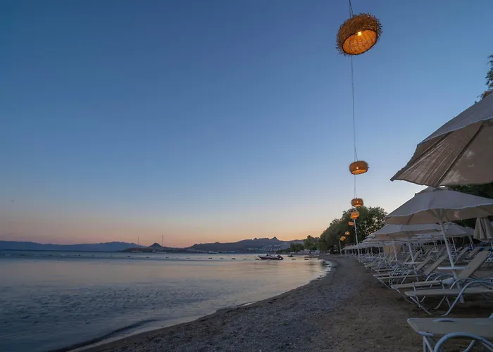 Regia Mare & Bodrum オータキャンツ