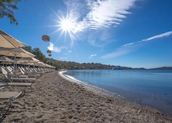 Regia Mare & Bodrum オータキャンツ