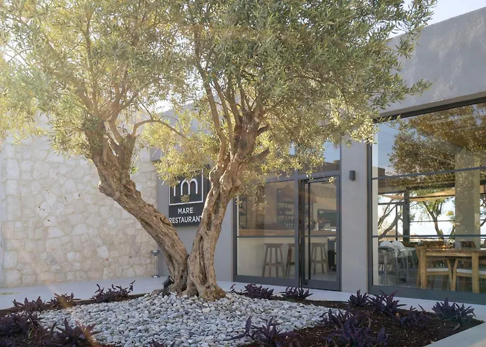 Regia Mare & Bodrum オータキャンツ