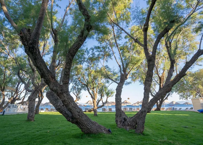 ホテル Regia Mare & Bodrum オータキャンツ