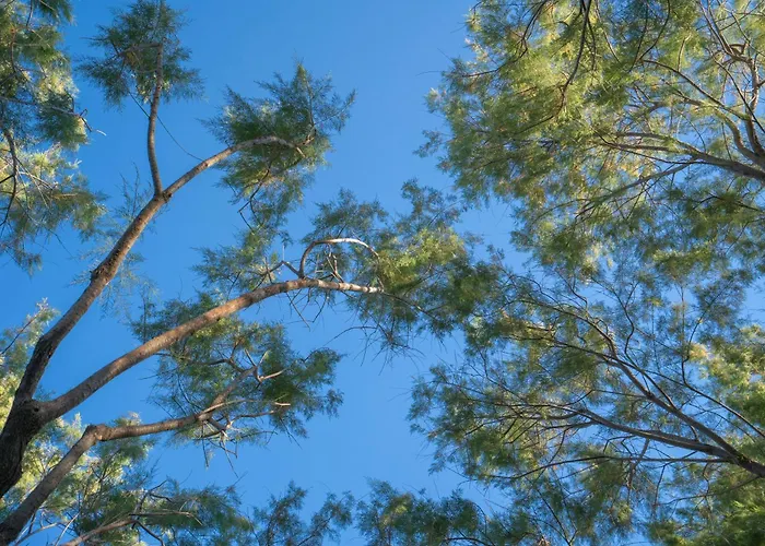 Regia Mare & Bodrum Ortakent